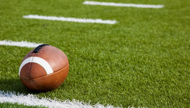 SMG mantenimiento de césped artificial - DIMAJARDIN